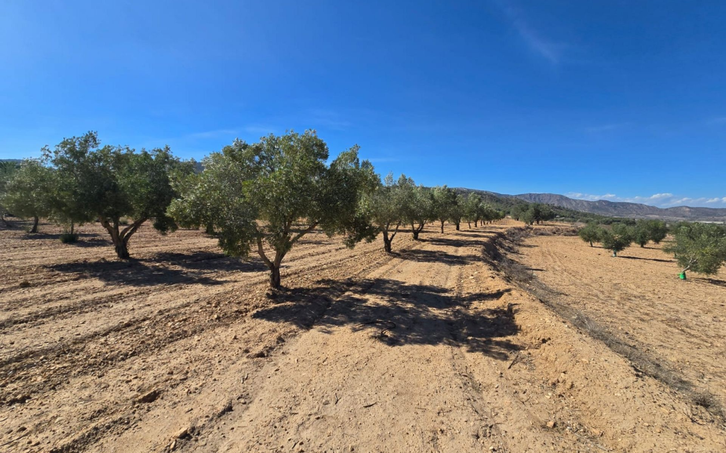 Land In Salinas, Spain (18.088 M²)
