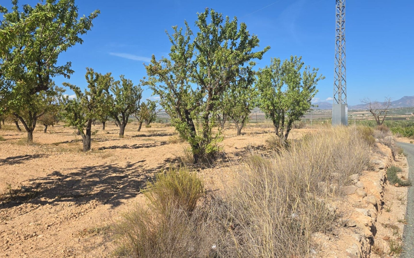 Land In Salinas, Spain (23.102 M²)