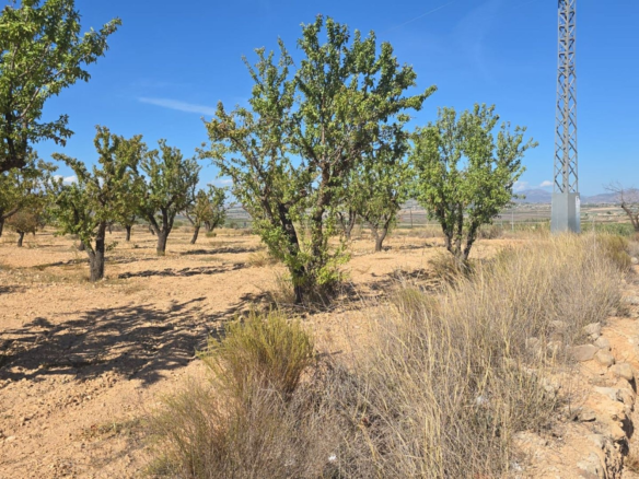 Land In Salinas, Spain (23.102 M²)