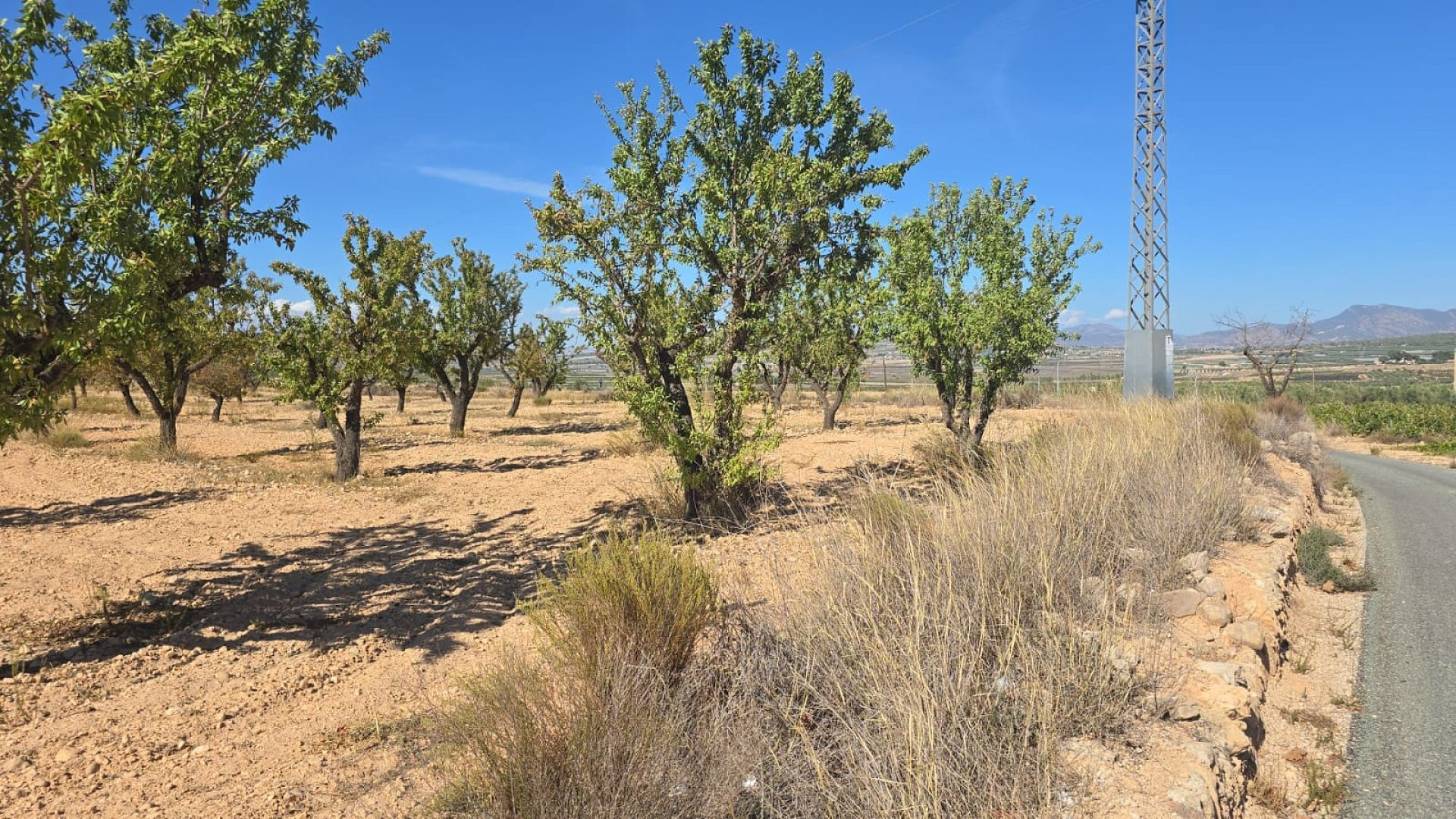 Land In Salinas, Spain (23.102 M²)