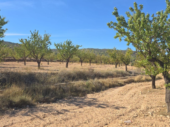 Land In Salinas, Spain (23.102 M²)