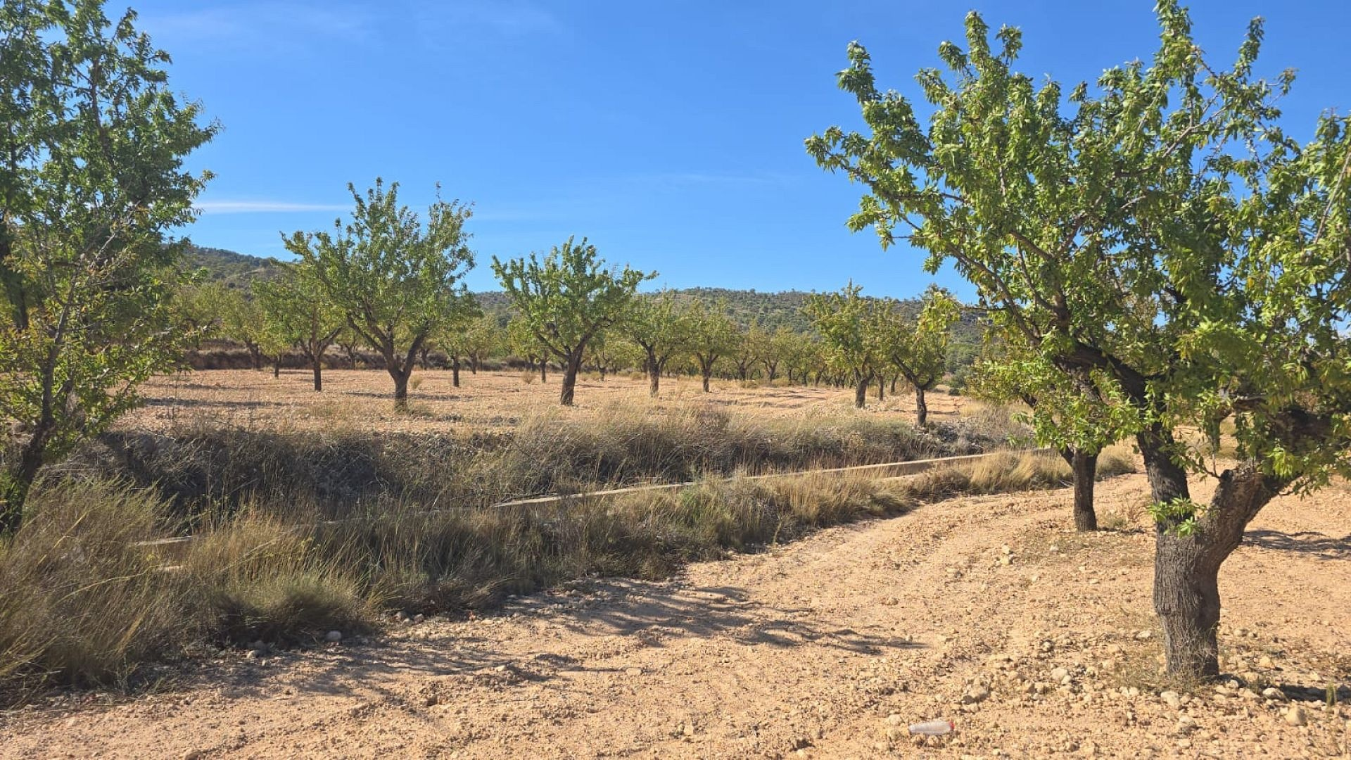 Land In Salinas, Spain (23.102 M²)