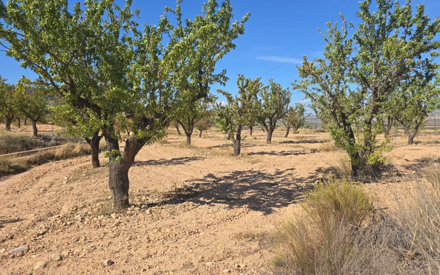Land In Salinas, Spain (23.102 M²)