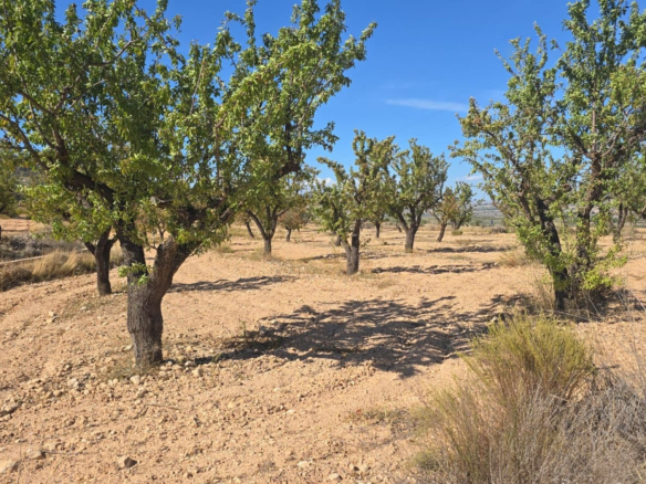 Land In Salinas, Spain (23.102 M²)