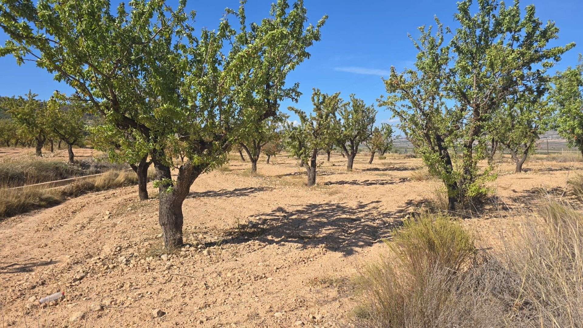 Land In Salinas, Spain (23.102 M²)