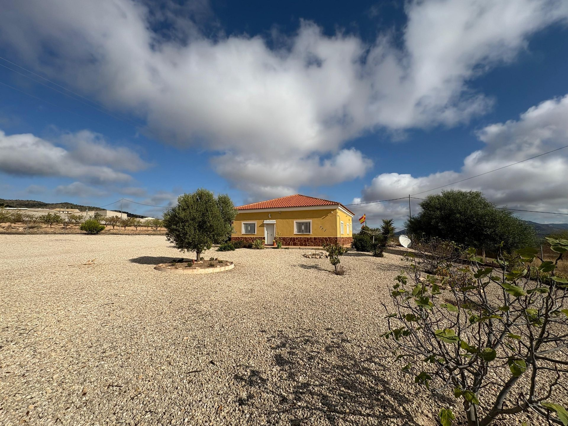 3-bedroom Detached Villa In Pinoso, Spain (160 M²)