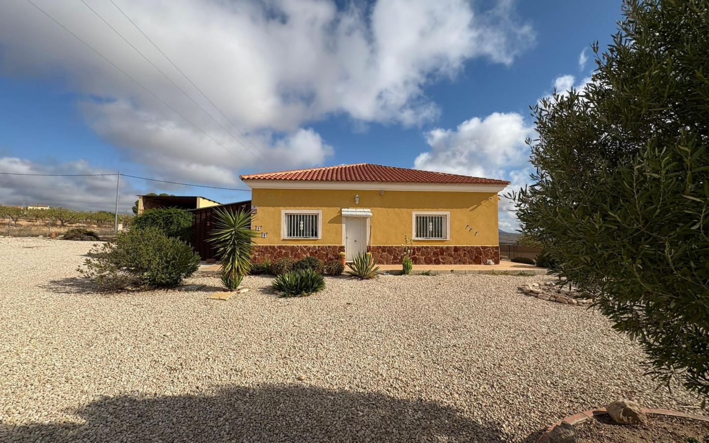 3-bedroom Detached Villa In Pinoso, Spain (160 M²)