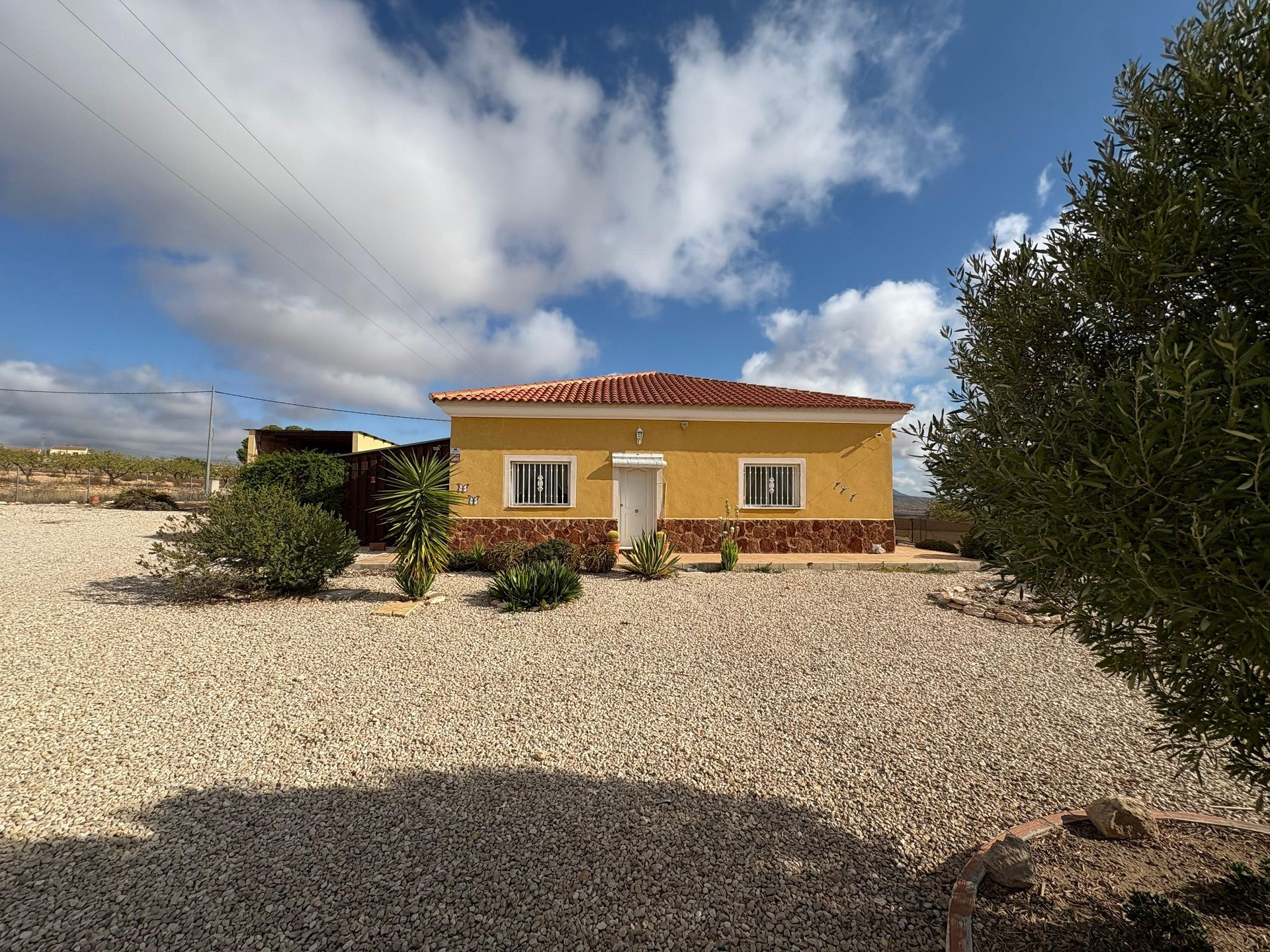 3-bedroom Detached Villa In Pinoso, Spain (160 M²)