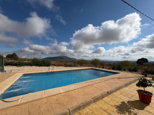 3-bedroom Detached Villa In Pinoso, Spain (160 M²)
