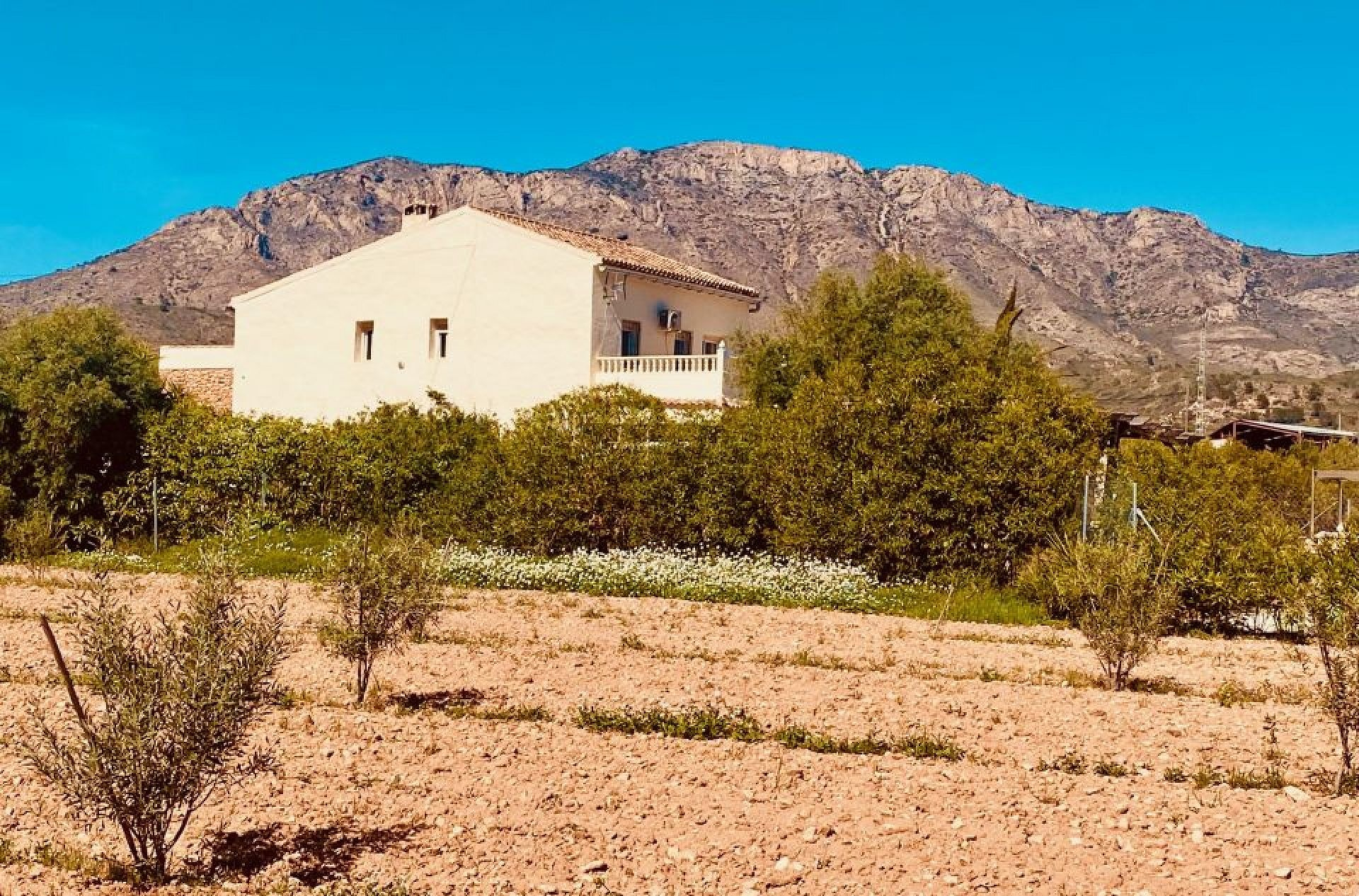 w_x2-960×633-d0834b 5-bedroom Country House In El Cantón, Spain (308 M²)