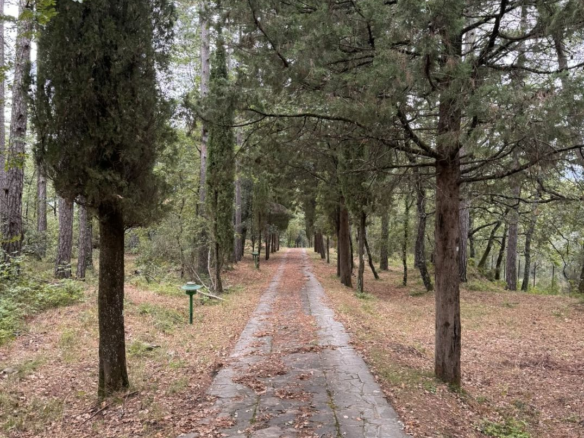 Villa Natasha