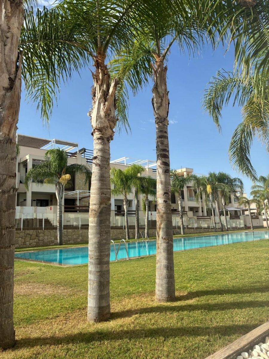 2-1-45b558 Apartment In Torrevieja