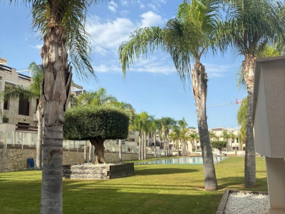 Apartment In Torrevieja