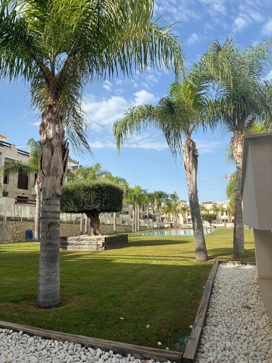 2-3-23d130 Apartment In Torrevieja