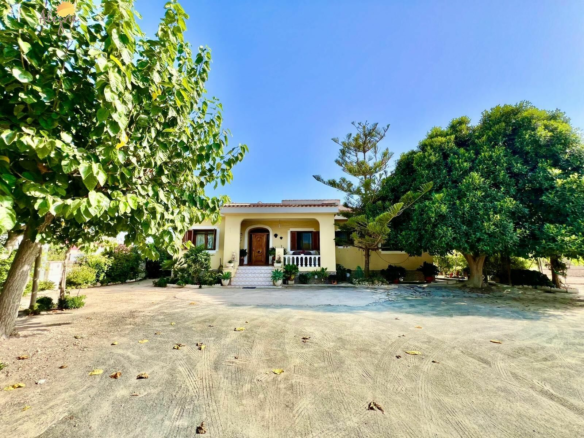 4-bedroom Villa In Daya Vieja, Spain (627 M²)