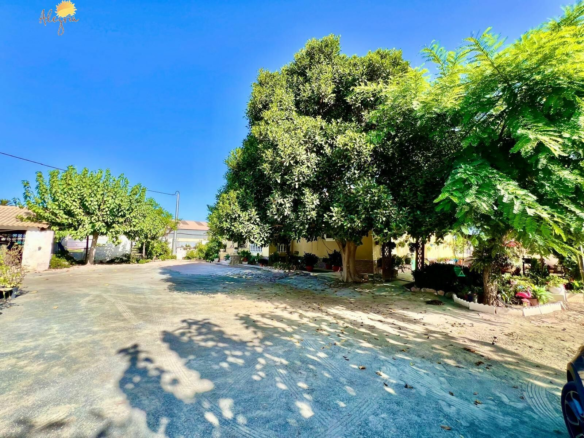 4-bedroom Villa In Daya Vieja, Spain (627 M²)