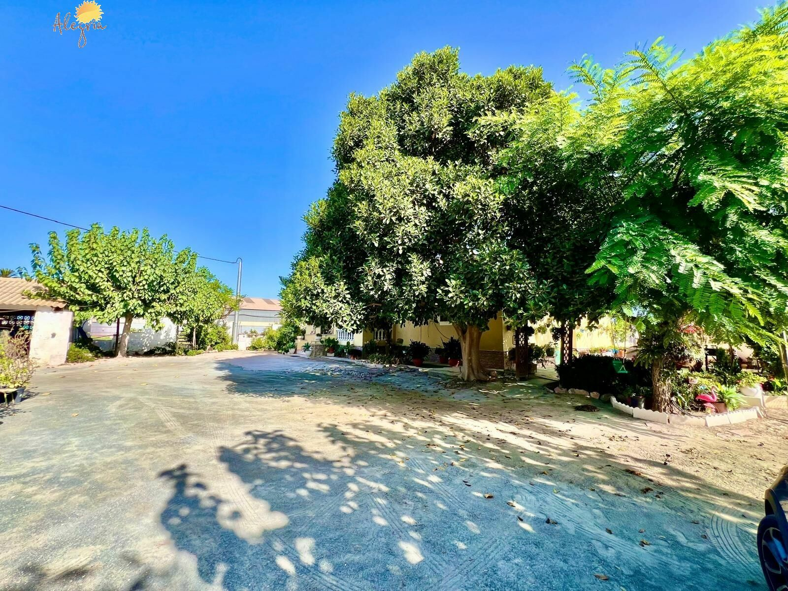4-bedroom Villa In Daya Vieja, Spain (627 M²)