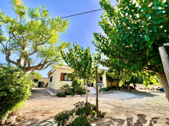 4-bedroom Villa In Daya Vieja, Spain (627 M²)