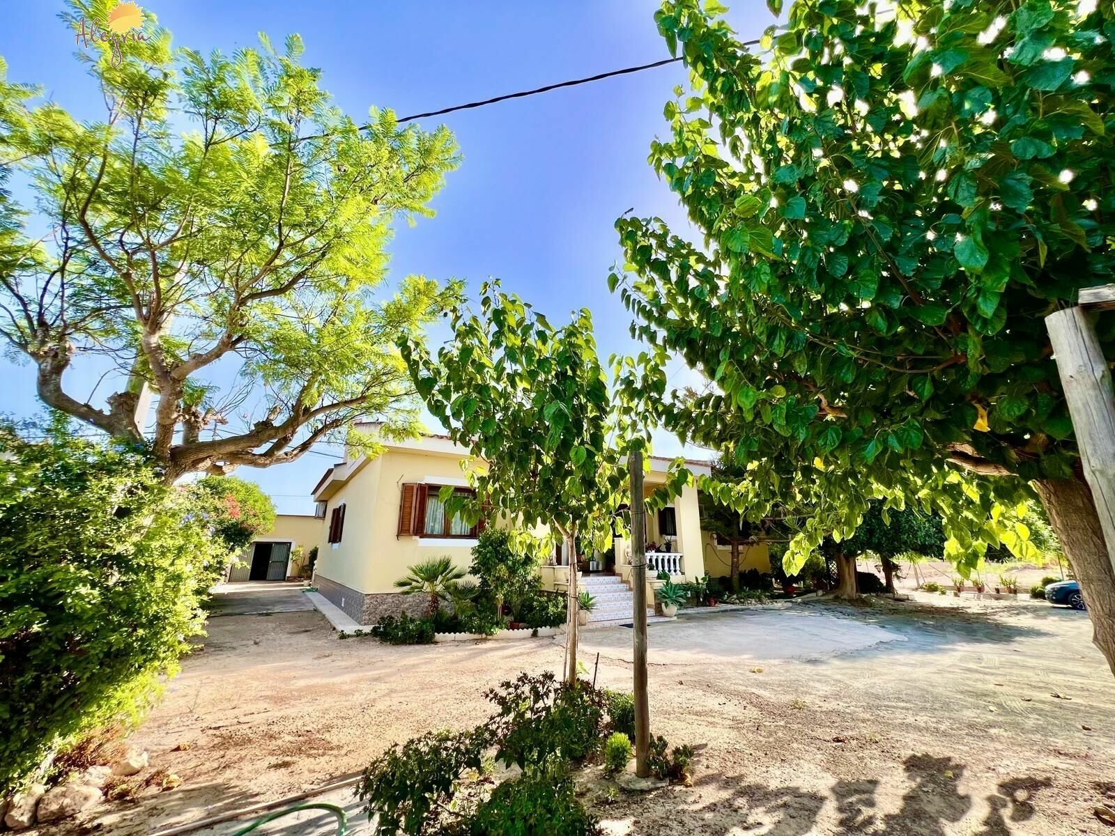 4-bedroom Villa In Daya Vieja, Spain (627 M²)