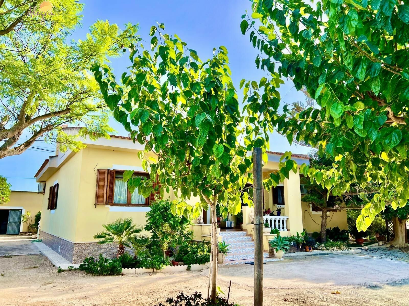 4-bedroom Villa In Daya Vieja, Spain (627 M²)