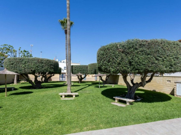 3-bedroom Apartment In Torrevieja, Spain (110 M²)