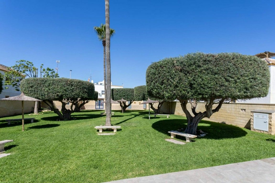3-bedroom Apartment In Torrevieja, Spain (110 M²)