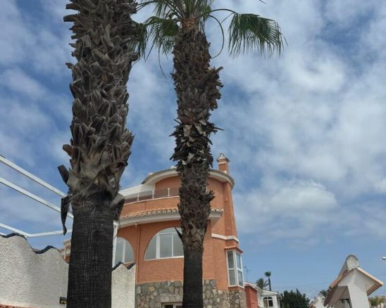 4-bedroom Villa In Almoradi, Spain (266 M²)
