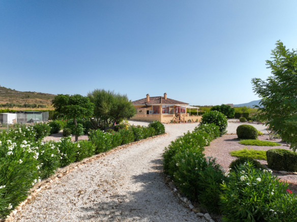 3-bedroom Detached Villa In Pinoso, Spain (158 M²)