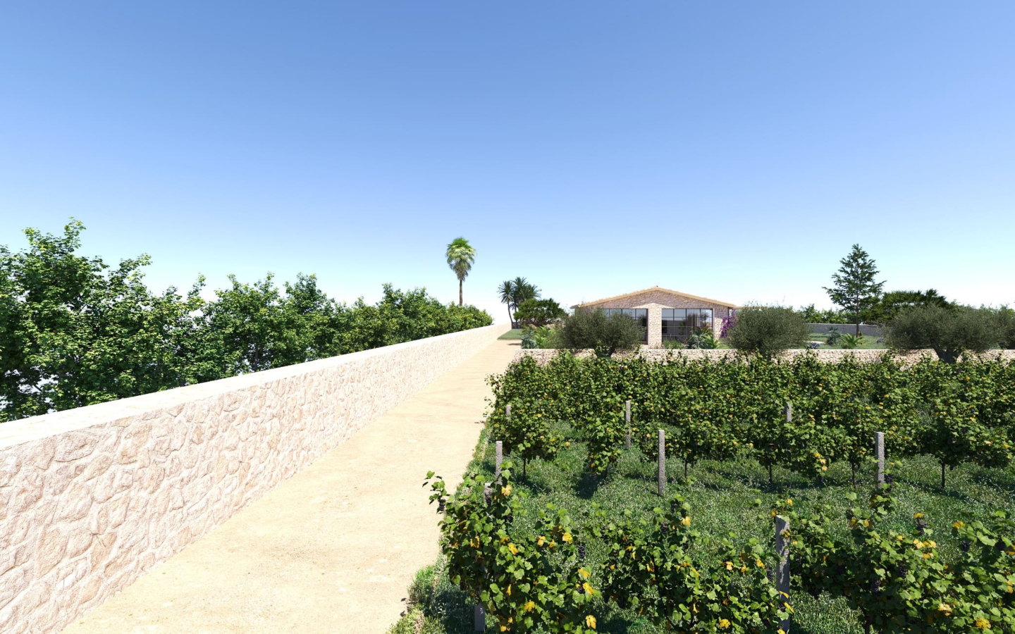 Land In Llucmajor, Spain (426 M²)
