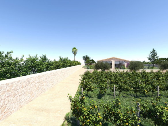 Land In Llucmajor, Spain (426 M²)