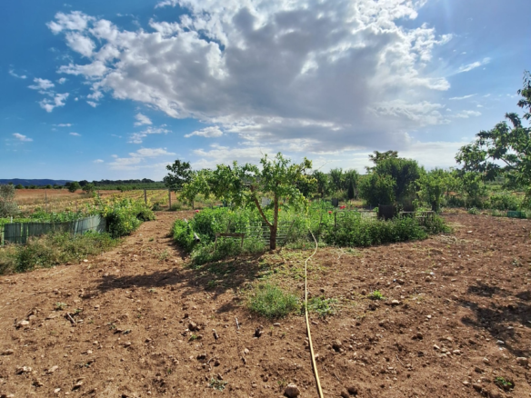 Land In Pinoso, Spain (94 M²)