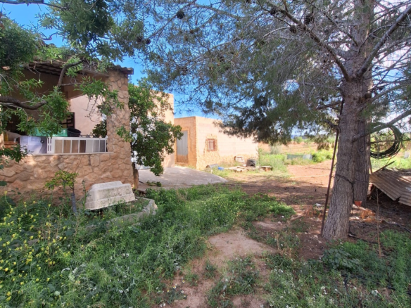 Land In Pinoso, Spain (94 M²)
