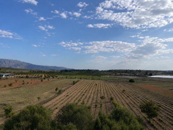Land In Pinoso, Spain (94 M²)