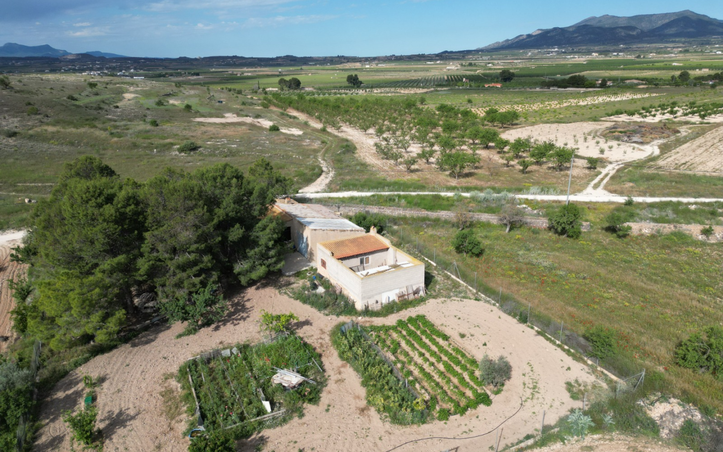Land In Pinoso, Spain (94 M²)