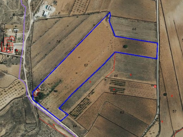 Land In Pinoso, Spain (94 M²)