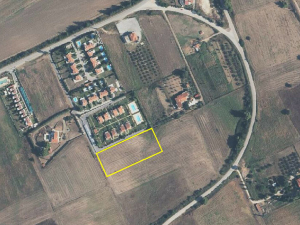 Land In Kassandra, Greece