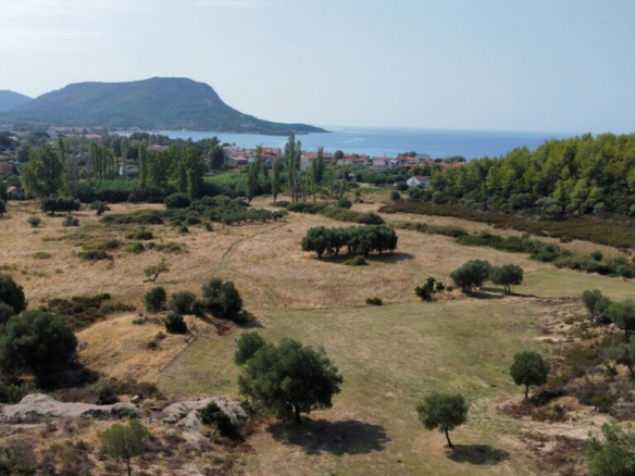 Land In Sithonia, Greece