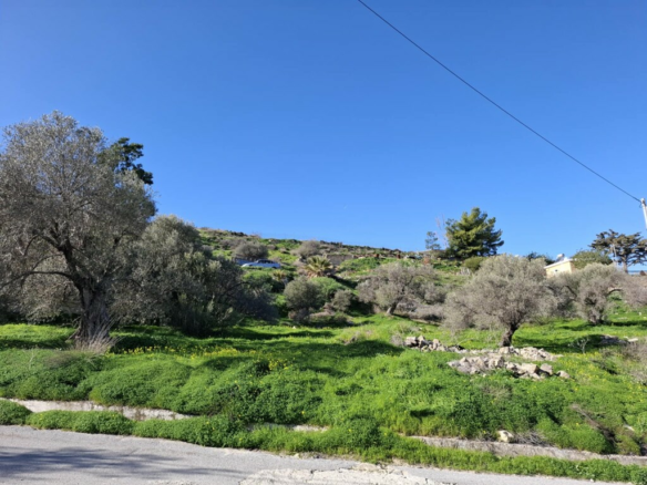 Land In Timpaki, Greece