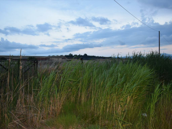 Land In Eleftherio-kordelio, Greece