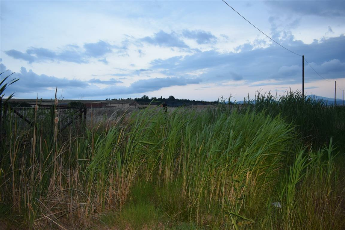Land In Eleftherio-kordelio, Greece
