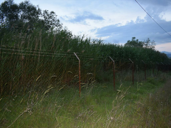 Land In Eleftherio-kordelio, Greece