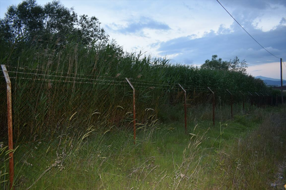 Land In Eleftherio-kordelio, Greece