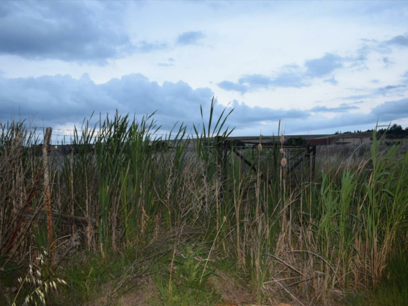 Land In Eleftherio-kordelio, Greece