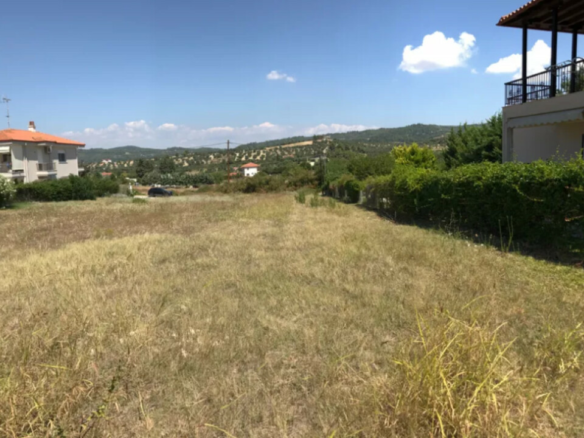 Land In Kassandra, Greece