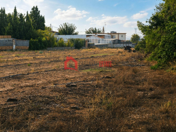 Land In Náquera (1.447 M² Plot)