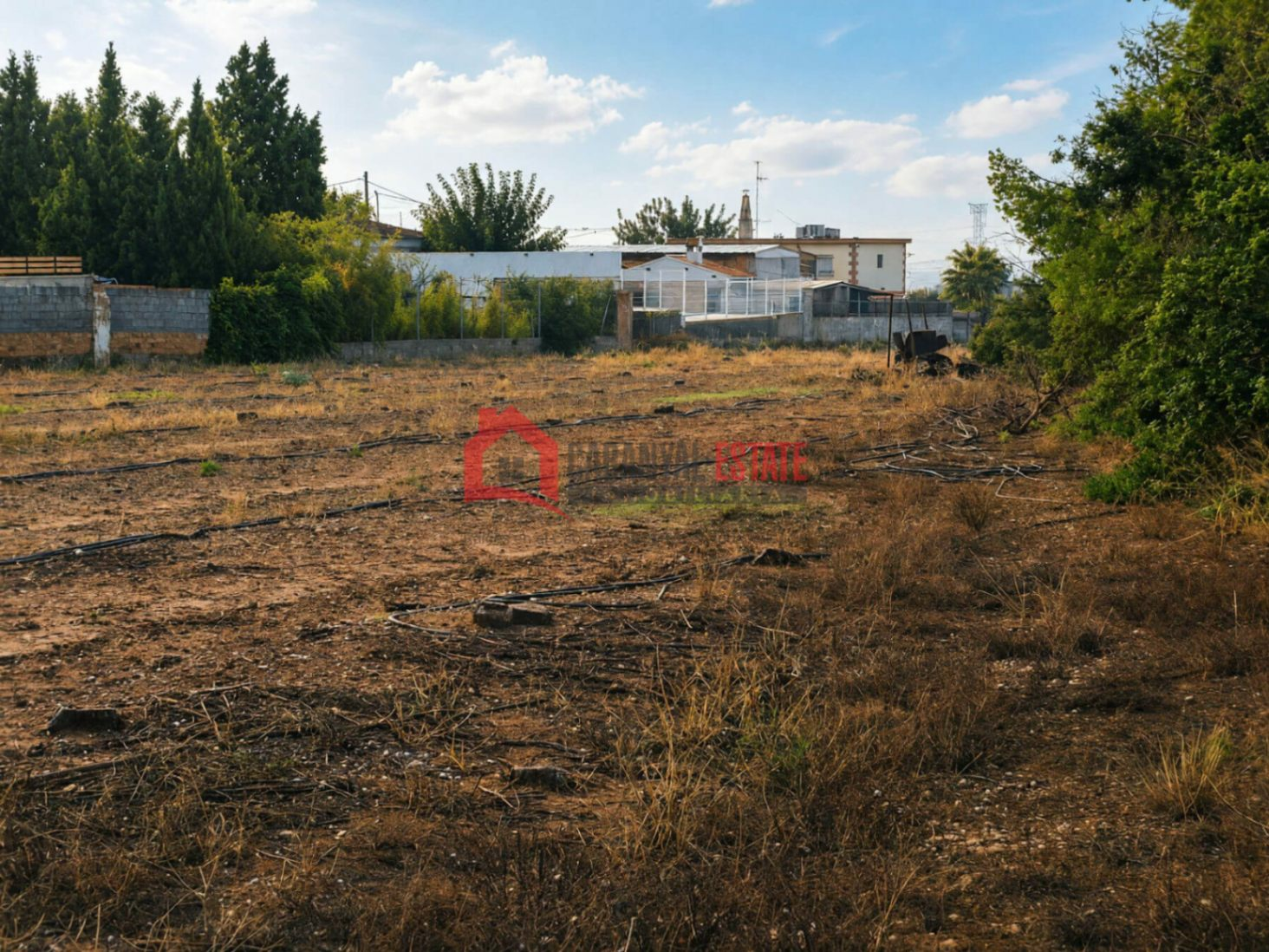 REimagineHome_1790708099566_1x-bafa2e Land In Náquera (1.447 M² Plot)