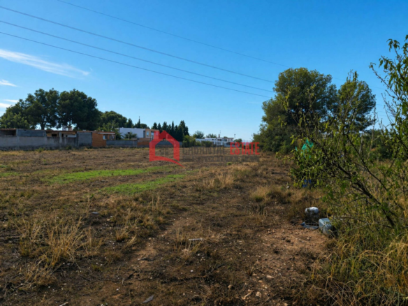 Land In Náquera (1.447 M² Plot)