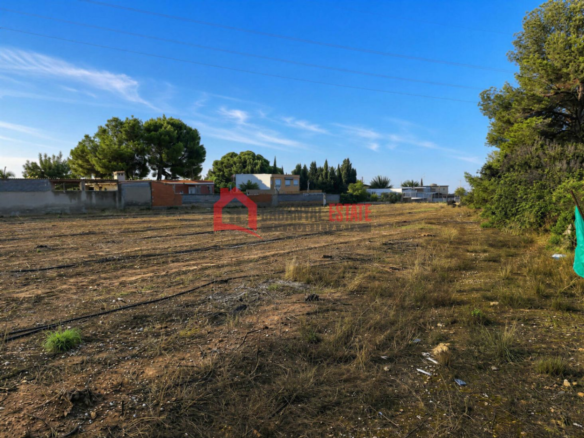 Land In Náquera (1.447 M² Plot)