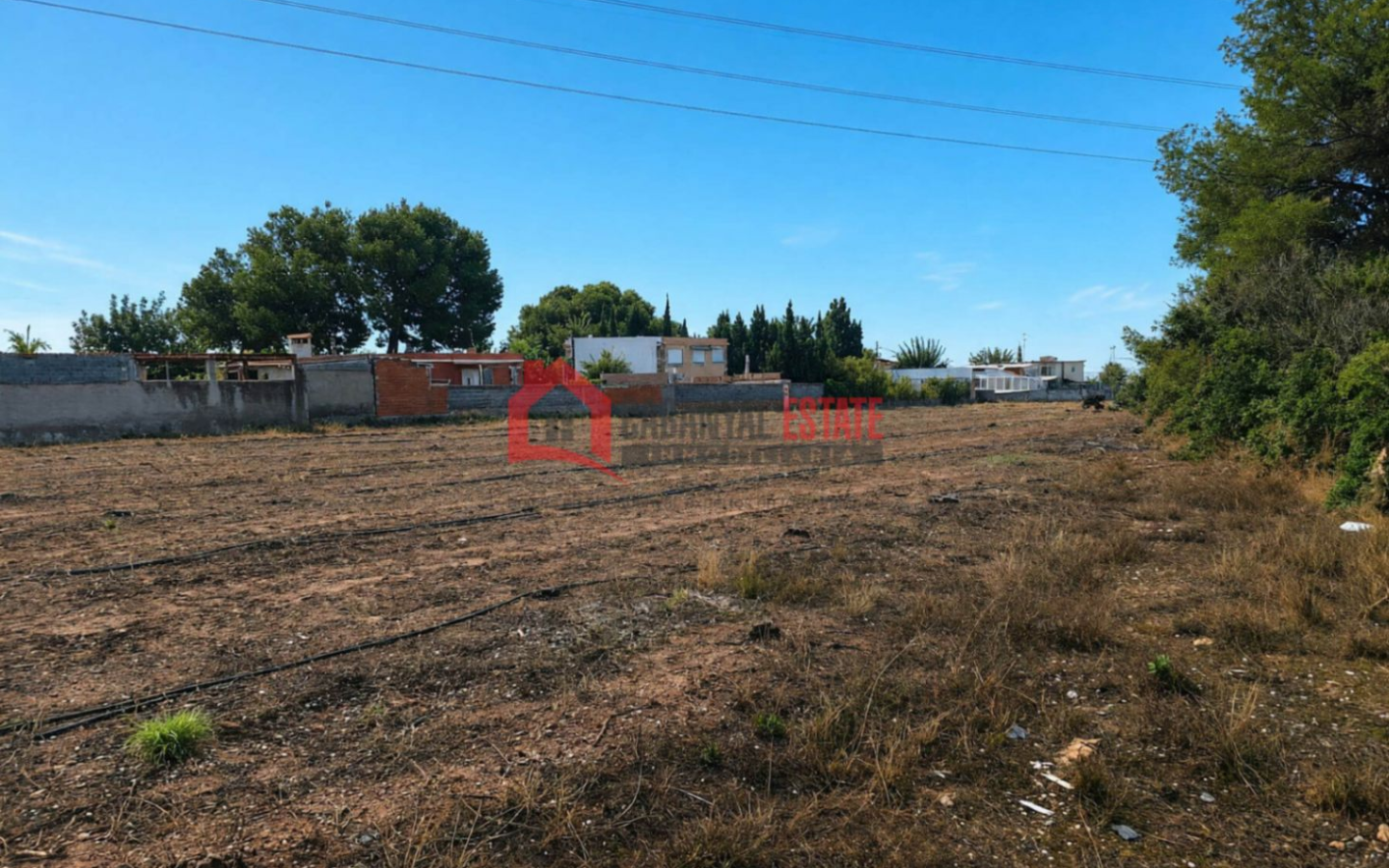 Land In Náquera (1.447 M² Plot)