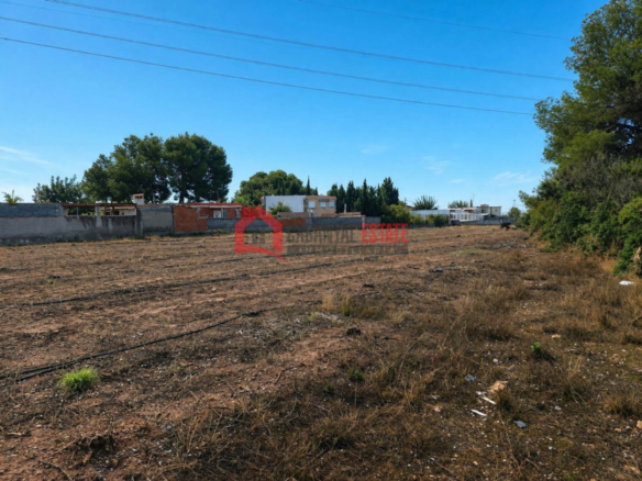 Land In Náquera (1.447 M² Plot)